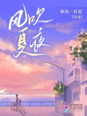 夏夜晚风凉